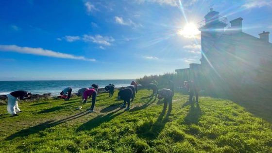 Stage Qi Gong Ile de Groix 6