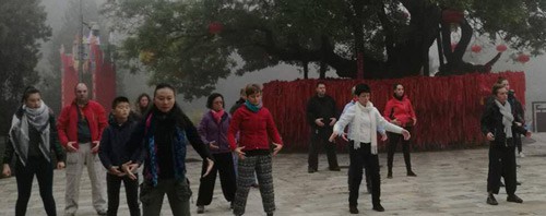 Cours Taïji Qi gong Genève