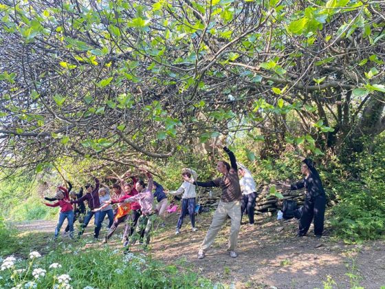 Stage Qi Gong Ile de Groix Institut Huaxia