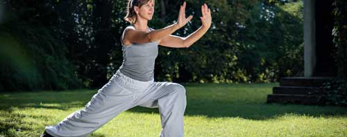 Stage Qi Gong Institut Huaxia