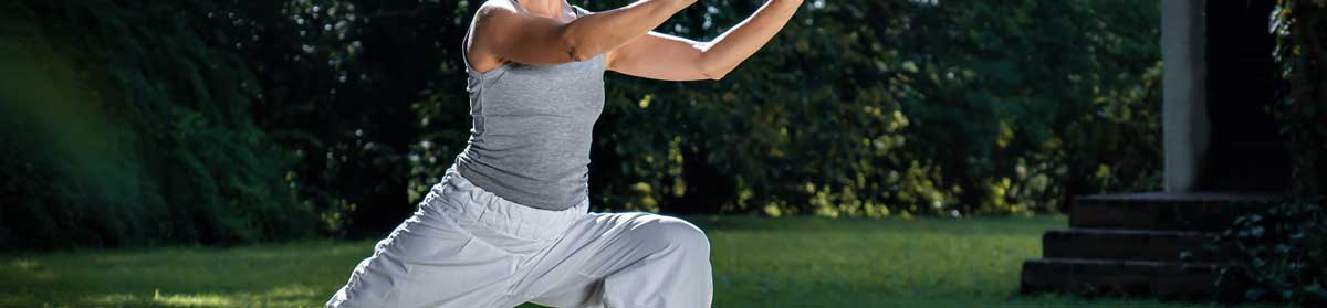 Stage Qi Gong Institut Huaxia
