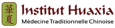 Institut Huaxia